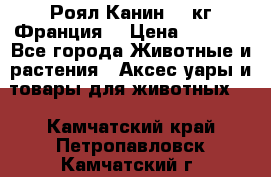  Роял Канин 20 кг Франция! › Цена ­ 3 520 - Все города Животные и растения » Аксесcуары и товары для животных   . Камчатский край,Петропавловск-Камчатский г.